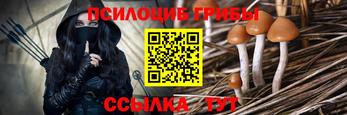 Псилоцибиновые грибы Magic Shrooms  Галлюциногенные грибы Psilocybe  Вход с VPN  Дубна 