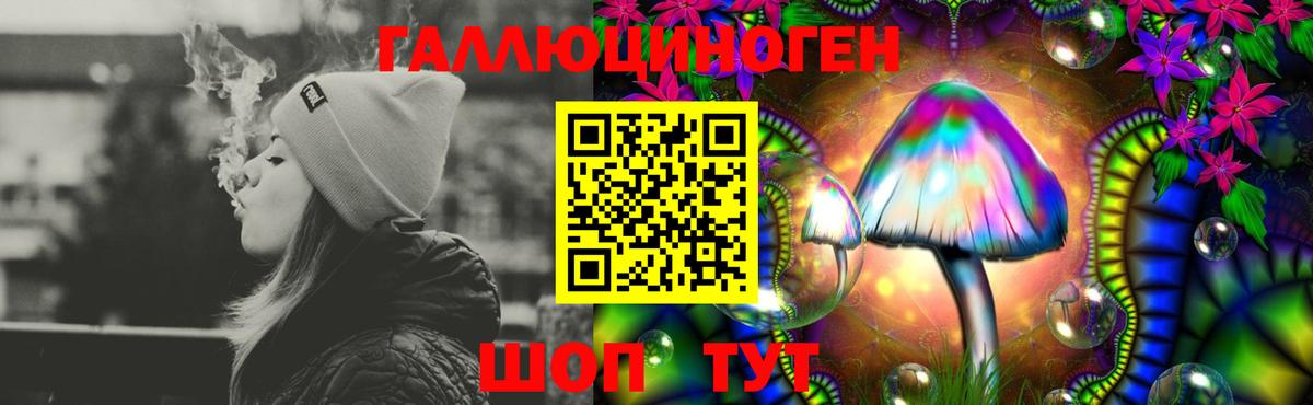 Галлюциногенные грибы Cubensis Дубна
